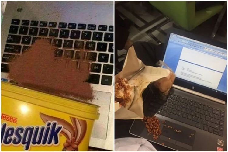 11 Momen Apes saat laptop tertimpa makanan, harus banyak sabar