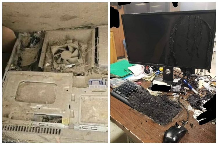 11 Momen apes akibat gunakan PC dengan ceroboh, bikin nyesek lihatnya