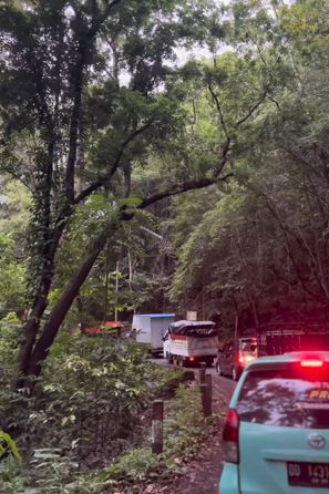 Ganti klakson pakai lagu 17 Agustus, sopir truk ini tuai pujian