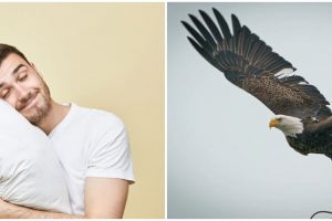 9 Arti mimpi burung elang, menggambarkan perubahan hidup
