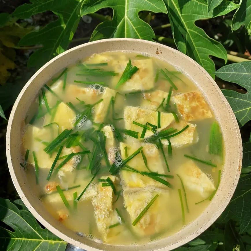 13 Resep olahan telur dadar kuah, simpel, nikmat, dan menggugah selera