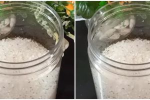 Trik ampuh usir semut dalam toples gula, pakai rempah dapur