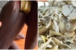Cara merebus jantung pisang agar tidak berwarna hitam dan bergetah