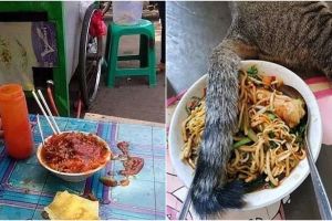 11 Momen apes orang saat makan mi ayam ini bikin ngelus dada