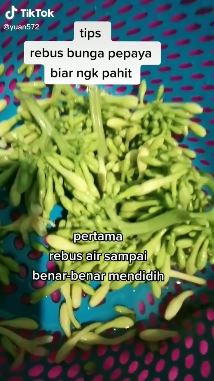 Cara ampuh mengurangi rasa pahit pada bunga pepaya, antiribet