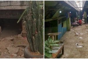 Penampakan permukiman warga di kolong tol, masuk harus menunduk