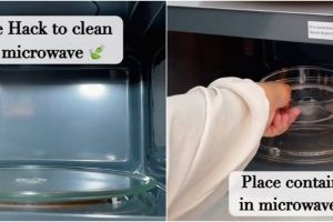 Tak perlu digosok, ini cara simpel bersihkan microwave dengan cepat