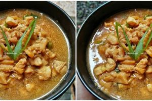 Resep ayam jamur masak kecap, cocok jadi lauk hingga topping mi ayam