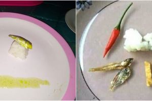 11 Potret makan dengan porsi sedikit ini jauh dari kata kenyang
