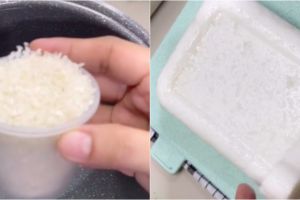 4 Cara bikin lontong pakai rice cooker, nggak keras dan antiribet