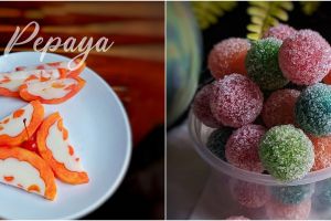 13 Resep olahan pepaya jadi aneka camilan, ekonomis dan nikmat