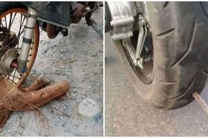 11 Penampakan lucu benda tersangkut ban motor, kok bisa ya?