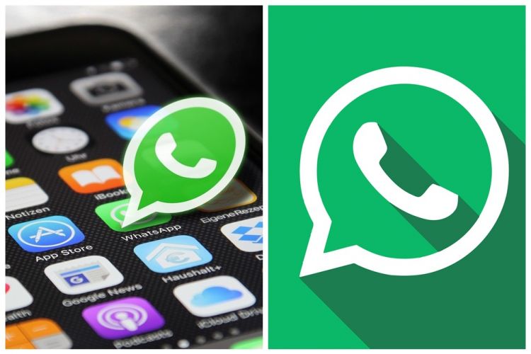 Cara atasi foto WhatsApp tidak tersimpan di galeri, ini penyebabnya