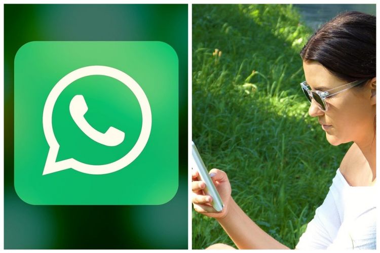 Cara gunakan fitur Mute di Grup Call WhatsApp, pertemuan jadi kondusif