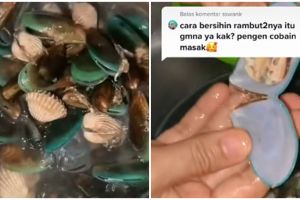 Cara praktis bersihkan rambut halus pada kerang hijau, pakai 2 bahan