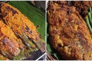 Trik jitu bakar ikan pakai teflon agar tidak lengket dan hancur