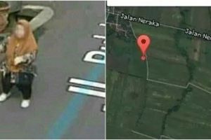 11 Penampakan lucu di Google Maps ini absurdnya bikin nyengir tipis
