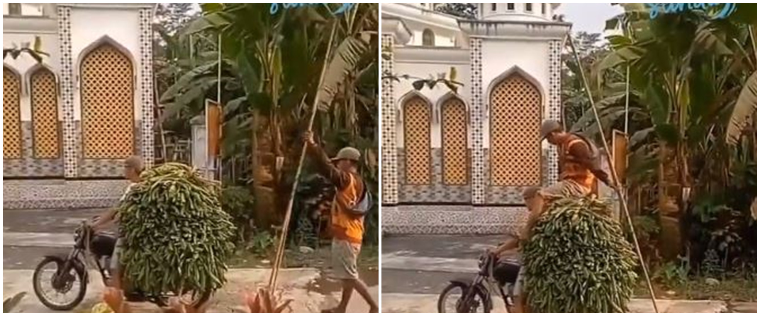 Bak atlet lompat galah, aksi pria naik tumpukan pete ini bikin melongo