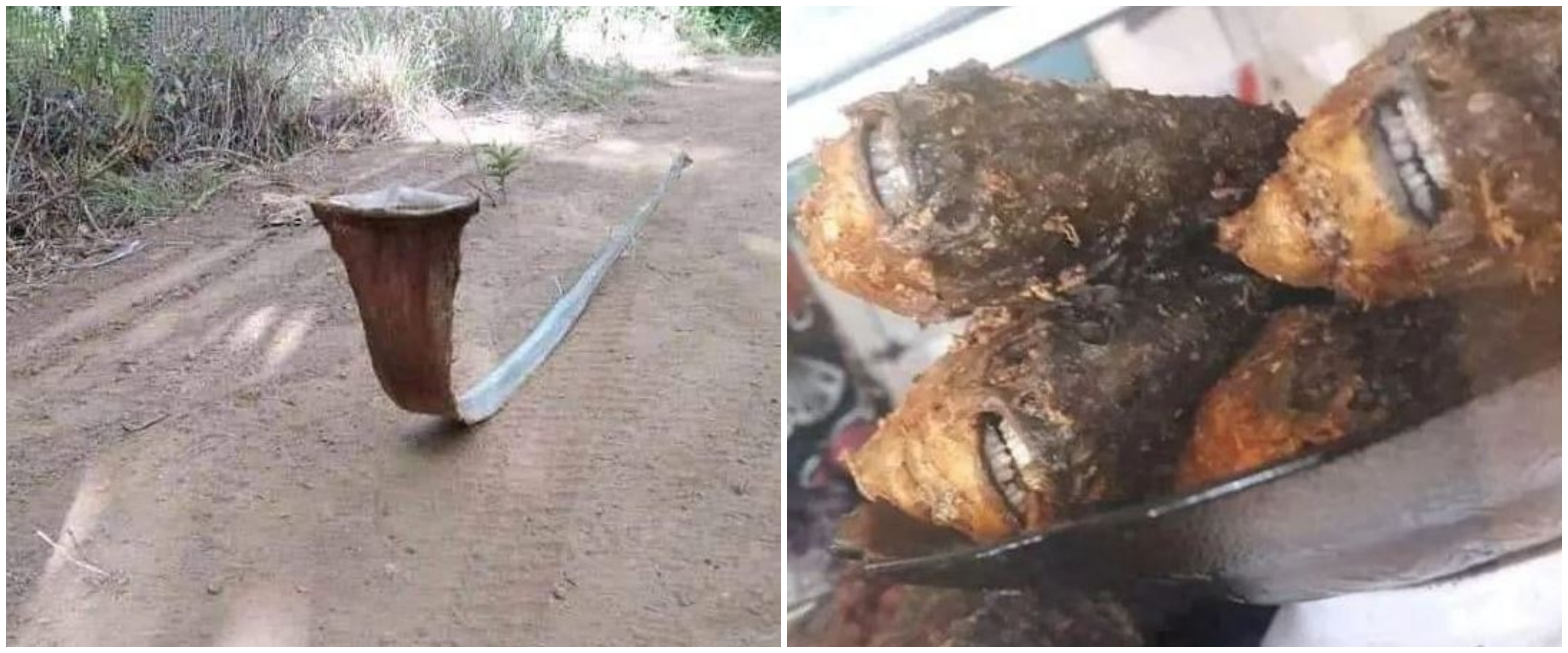 15 Penampakan aneh mirip benda ini bikin kaget, kudu lihat dua kali