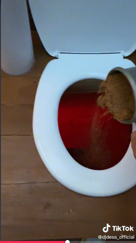 Momen pria pertama kali gunakan toilet pasir ini unik banget