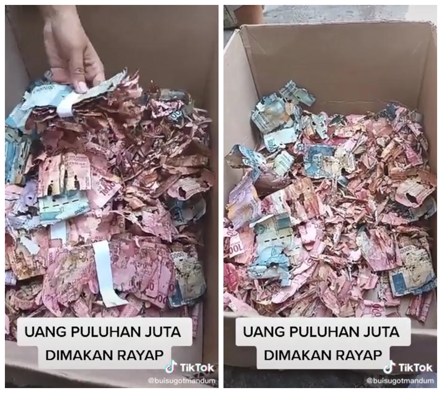 Uang tabungan haji Rp 50 juta milik penjaga sekolah dimakan rayap