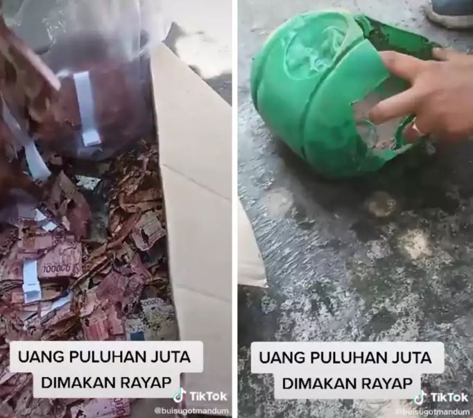 Kisah pemilik tabungan Rp 50 juta dimakan rayap, ditawari umrah gratis