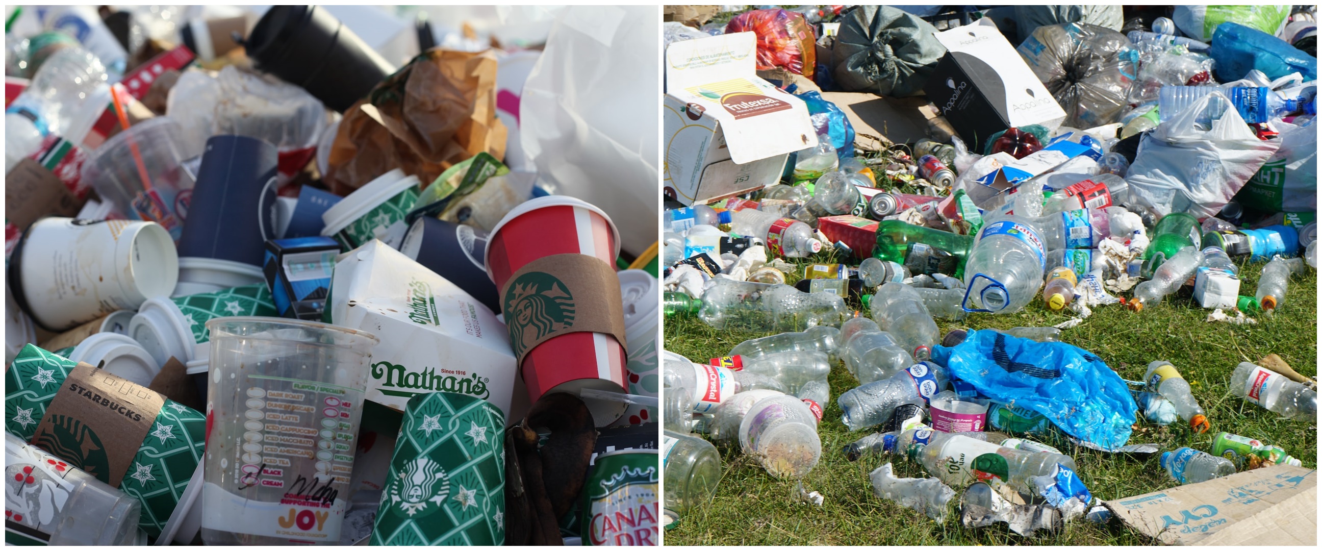 Pengertian sampah adalah, ketahui pengelolaan, jenis, dan dampaknya