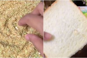 Trik simpel bikin tepung panir ala rumahan, cuma pakai roti tawar