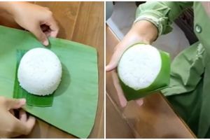 Cara praktis membungkus nasi pakai daun pisang, rapi dan cantik