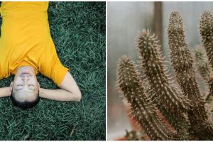 9 Arti mimpi tentang kaktus, bawa pertanda keberuntungan