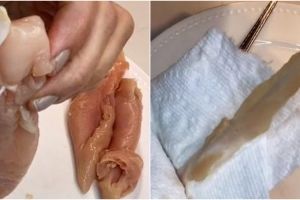 Hanya pakai garpu, ini cara melepaskan tendon pada ayam