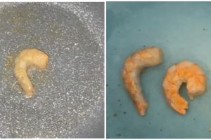 Nggak pakai ribet, ini cara mengetahui tingkat kematangan udang