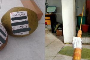 11 Penampakan paket ini nyeleneh abis, bikin bingung mau komen apa