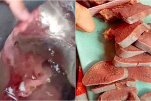 Cara membersihkan lidah sapi, hilangkan bau dan membuat tekstur empuk