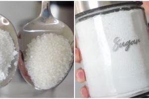 Cara mudah membuat gula kastor sendiri di rumah, cocok untuk baking