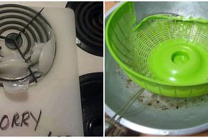 13 Potret apes perabot dapur rusak ini bikin ketawa cekikikan