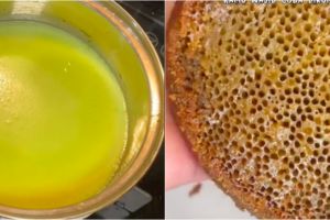 7 Cara bikin bolu sarang semut pakai panci, hasilnya empuk sempurna