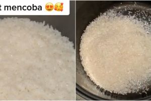 Trik memasak nasi di rice cooker dengan cepat, cuma butuh 15 menit