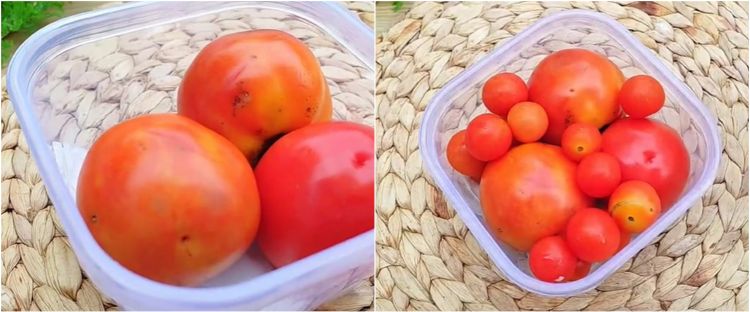 Cara praktis menyimpan tomat di kulkas, bisa tahan berbulan-bulan