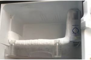 Cara cepat mencairkan bunga es di kulkas, hanya butuh 10 menit