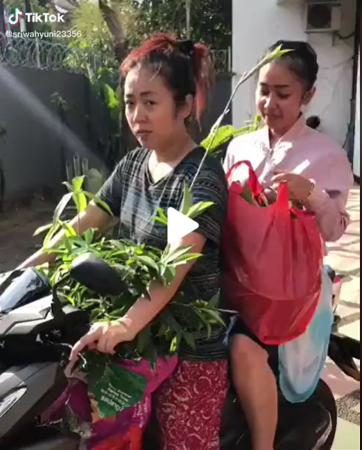 Gaya Soimah berkaos oblong naik motor belanja tanaman, tuai pujian