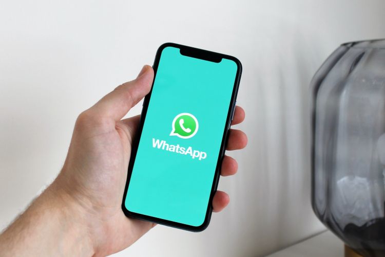 Cara menonaktifkan status online di WhatsApp, mudah tanpa aplikasi