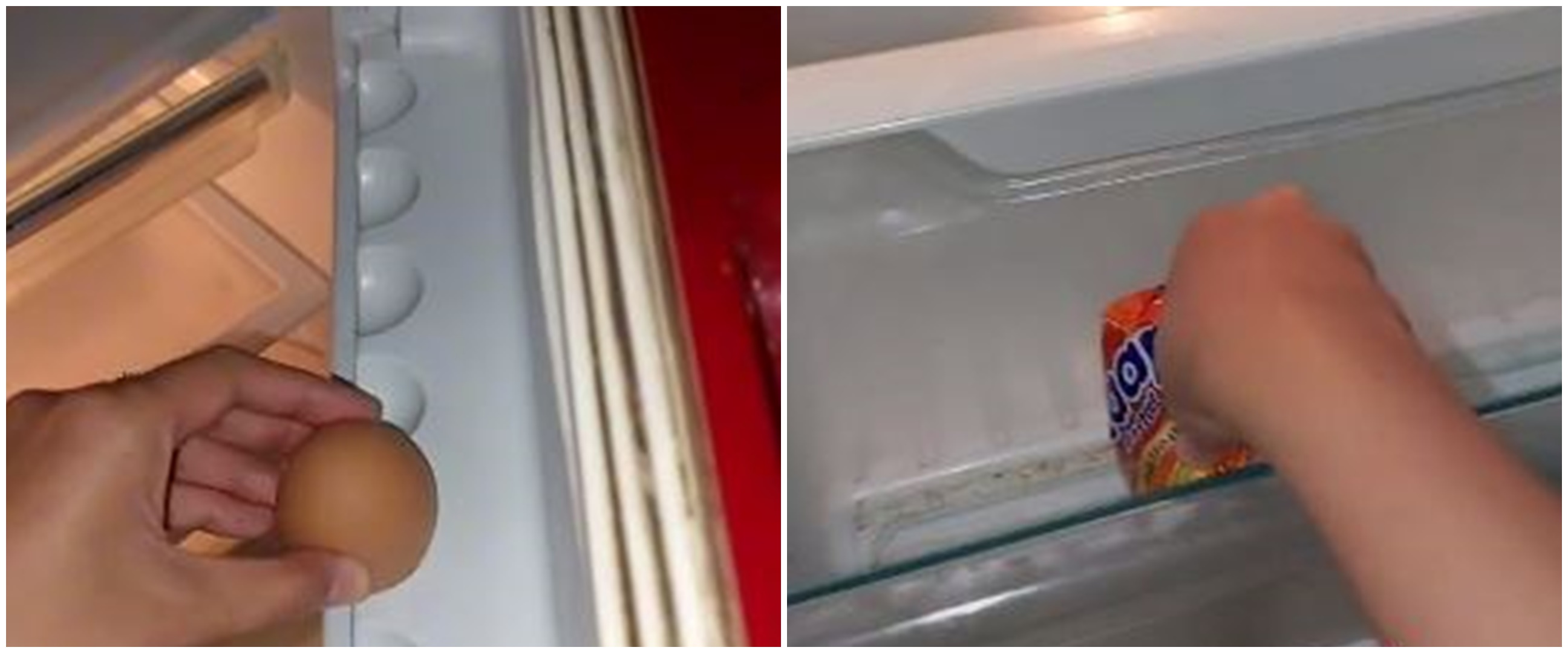 Bikin ASMR refill isi kulkas, aksi cewek ini bak mewakili warganet