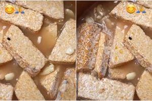 Cara marinasi tempe agar bumbunya meresap sempurna saat digoreng