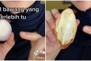 Trik menyimpan sisa potongan bawang bombay, tak layu hingga 4 hari