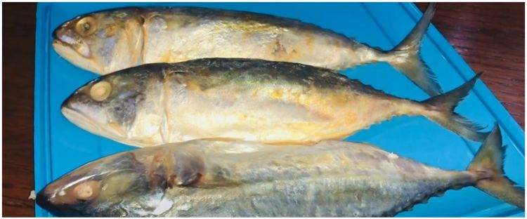 7 Cara membuat ikan peda sendiri tanpa pengawet, bisa buat stok