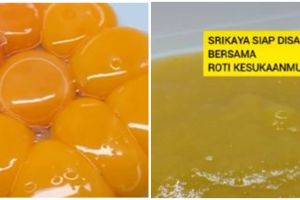 5 Cara mudah bikin sarikaya tanpa air dan tepung, antigagal