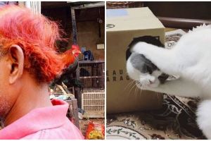 17 Penampakan lucu bikin terkecoh ini jadi mikir dua kali