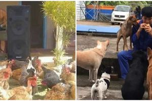 11 Momen lucu orang nyenengin hewan peliharaan, ada aja tingkahnya