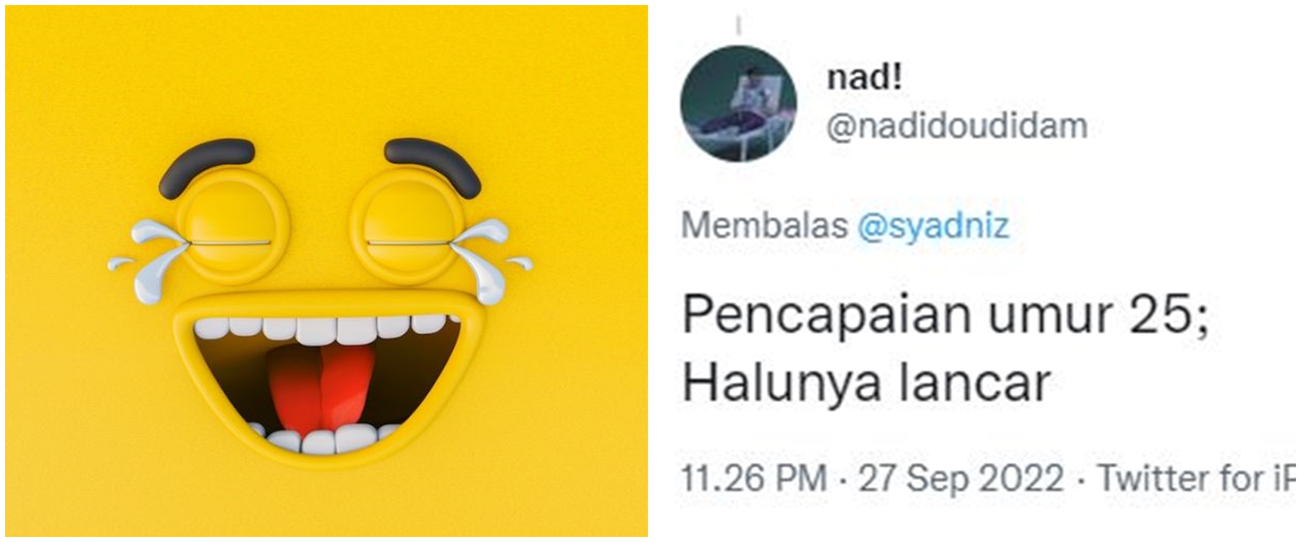 11 Curhatan lucu pamer pencapaian di umur 25 tahun, bikin nyengir